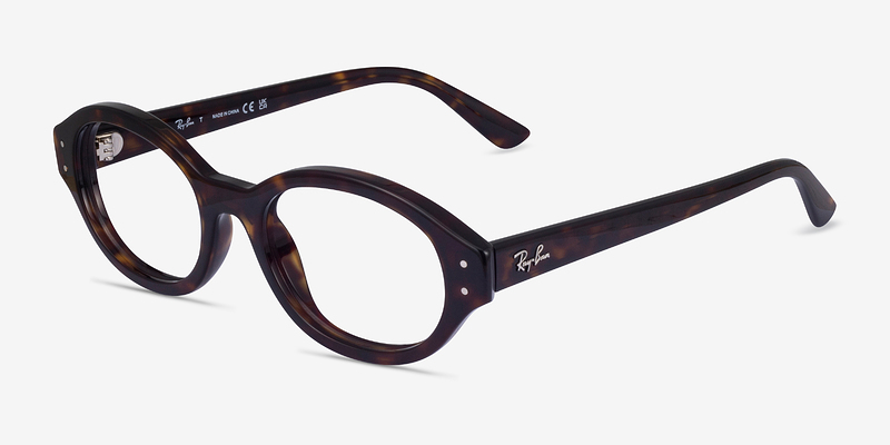 Ray-Ban RB7257 Shilo