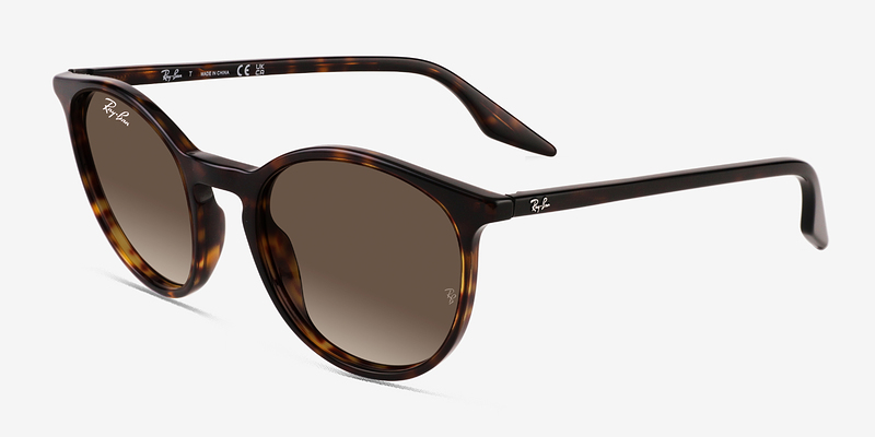 Ray-Ban RB2204