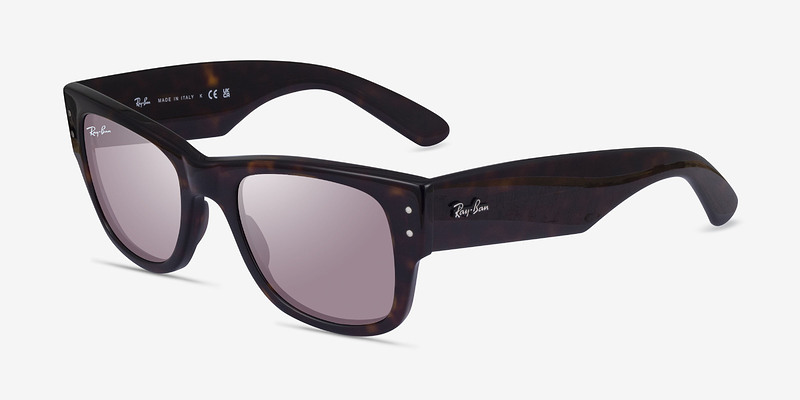 Ray-Ban RB0840S