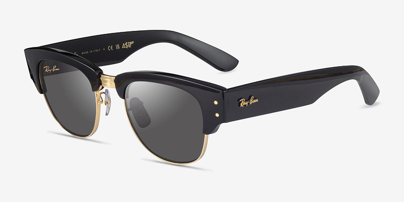 Ray-Ban RB0316S