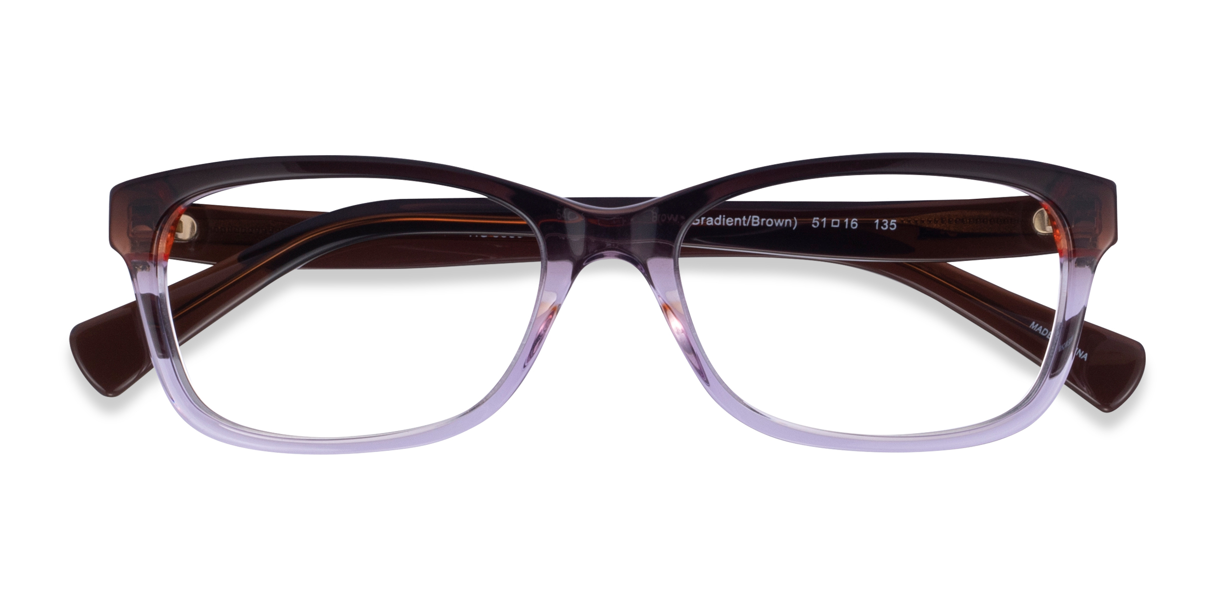 Brown Purple Gradient Coach HC6089 - Acétate Lunettes de vue