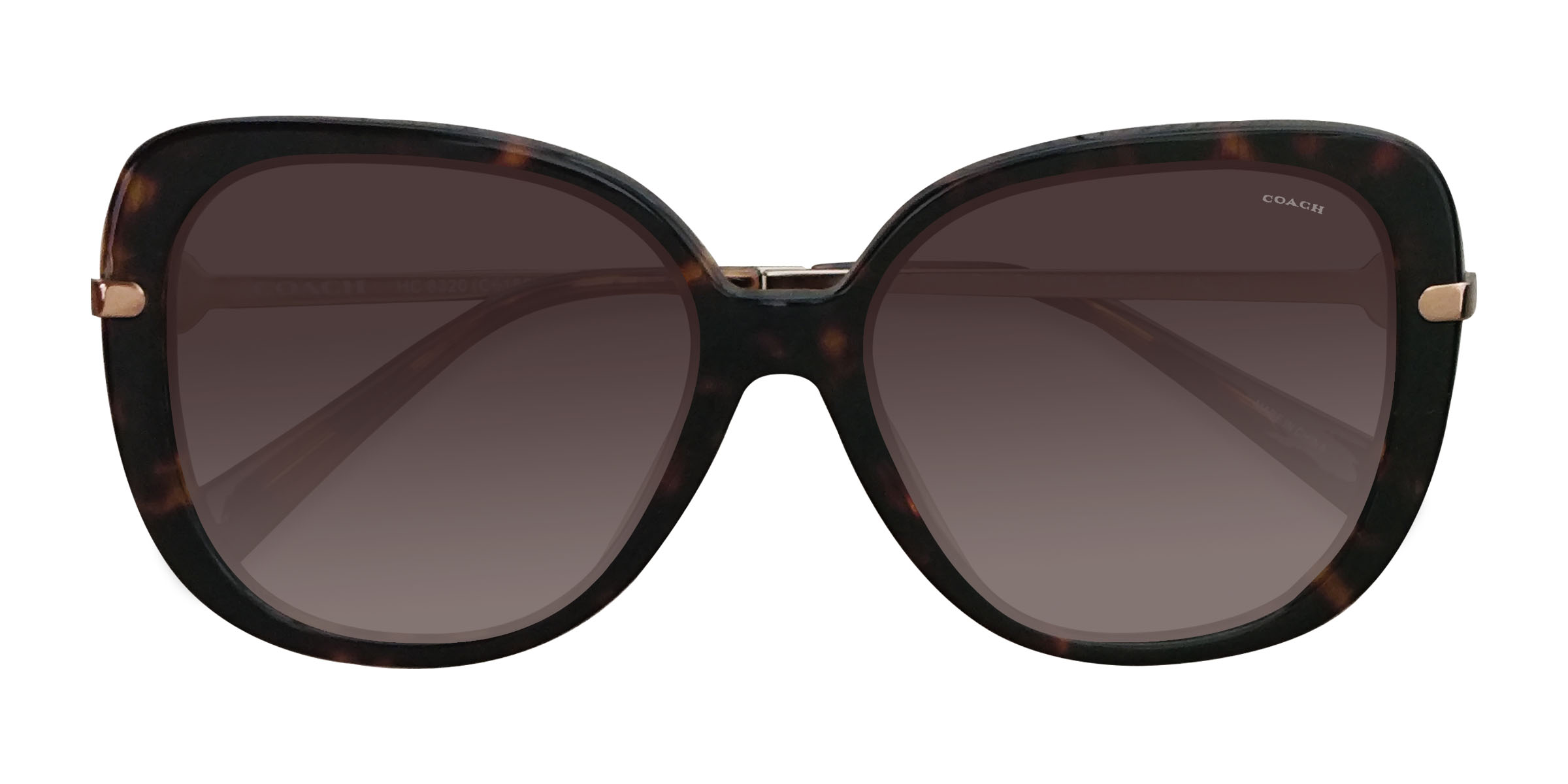 Dark Tortoise Coach HC8320 C6180 -  Acetate Sunglasses