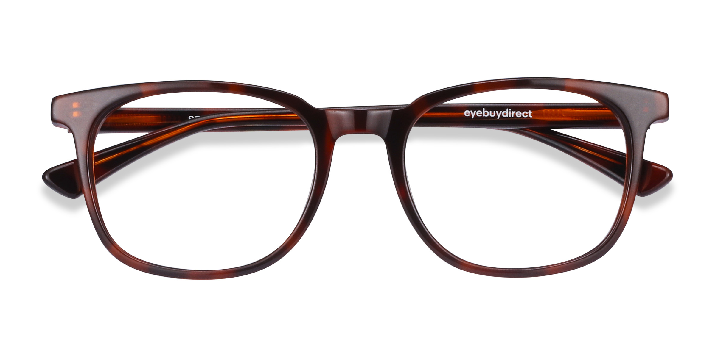 Brown Tortoise Seasons -  Acétate Lunettes de vue