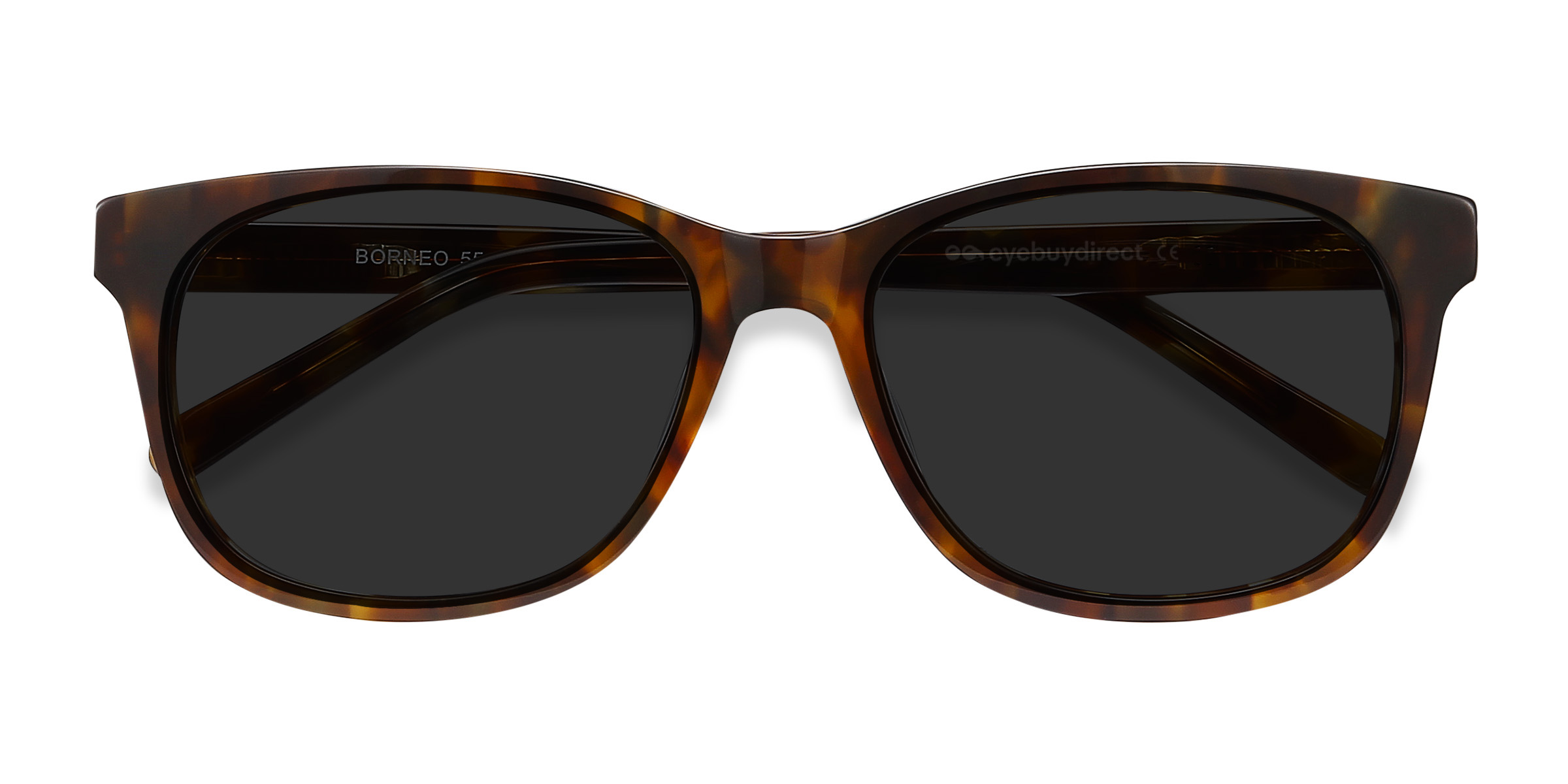 Tortoise Borneo -  Acetate Sunglasses