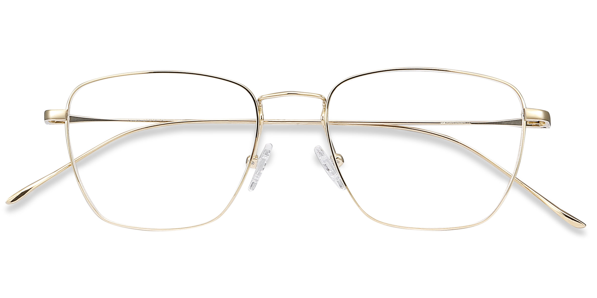 Golden Future -  Titanium Eyeglasses